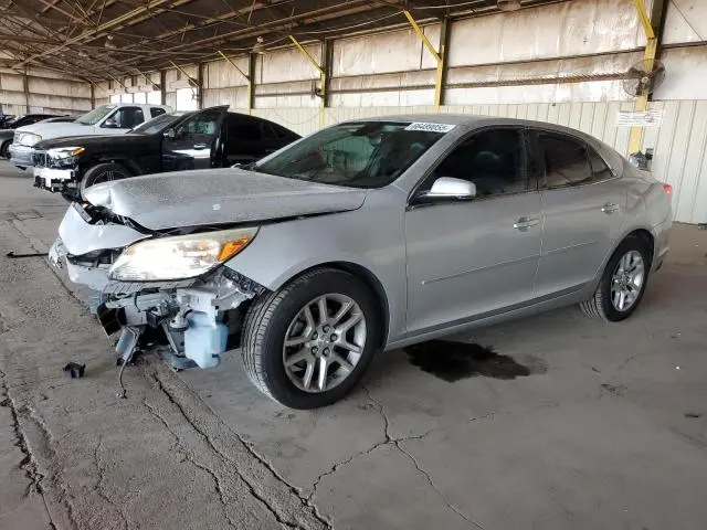 1G11C5SL1EF201905