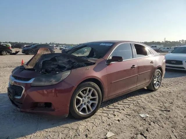 1G11C5SL1FF189742