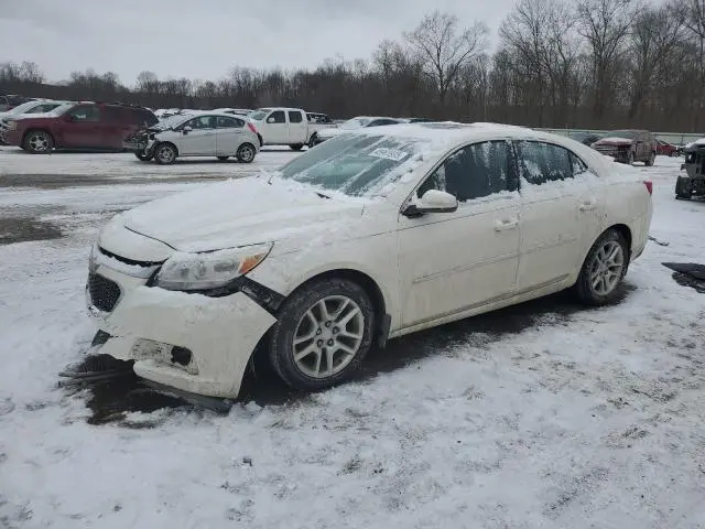 1G11C5SL3EF192463