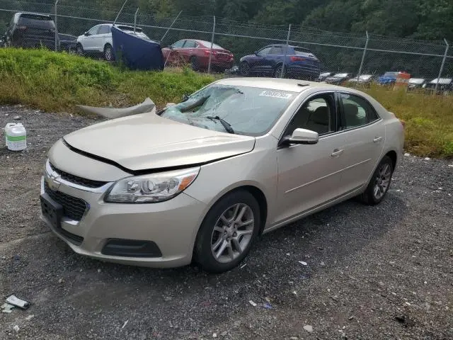 1G11C5SL6FF310300