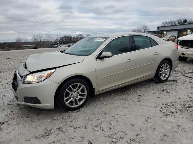 1G11C5SL8EF201366