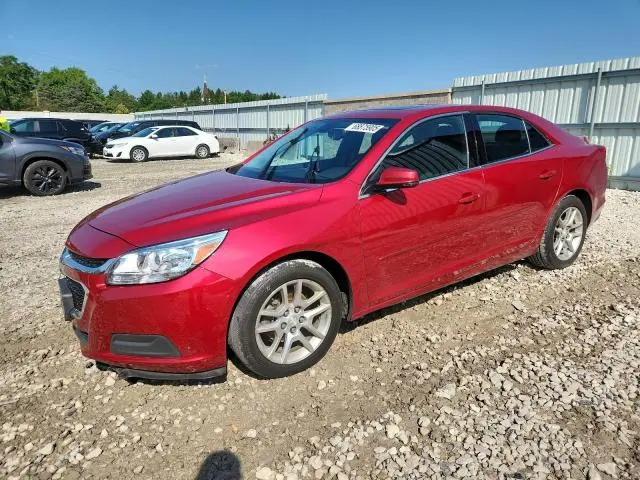 1G11C5SL9EF119615