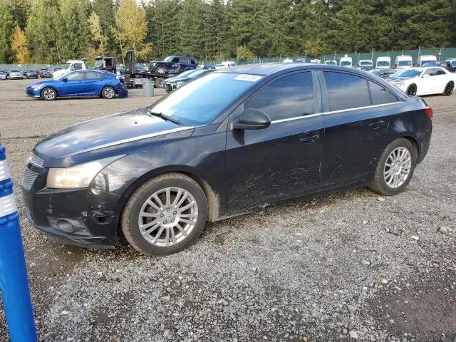 1G1PJ5S95B7307994