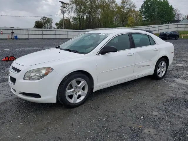 1G1ZB5E00CF285364