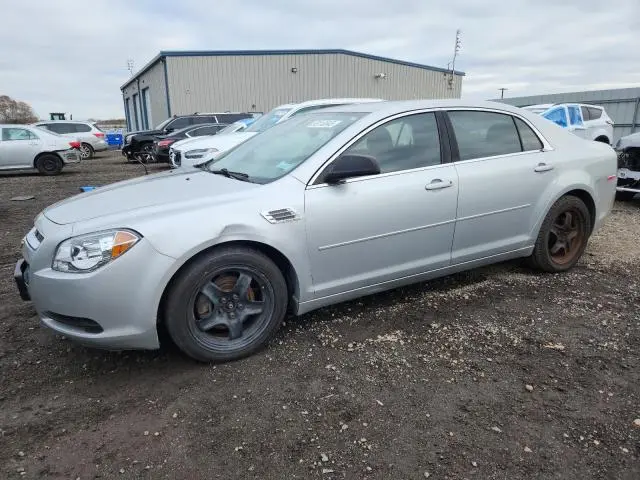 1G1ZB5E03CF105181