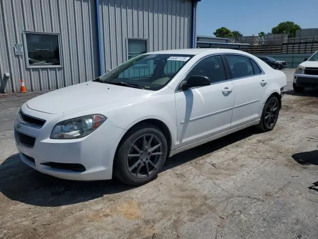 1G1ZB5E05CF233664