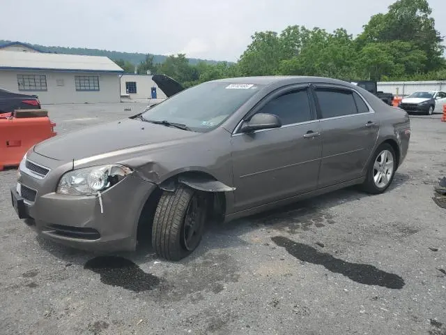 1G1ZB5E05CF316317