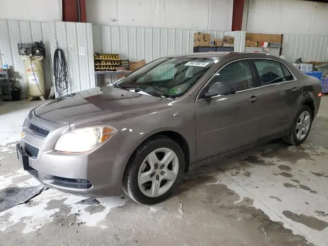 1G1ZB5E08CF259966