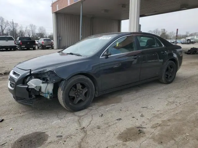 1G1ZB5E10BF213264