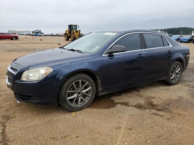 1G1ZB5E11BF146089