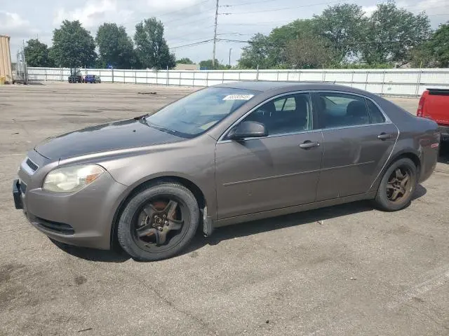 1G1ZB5E13BF203389