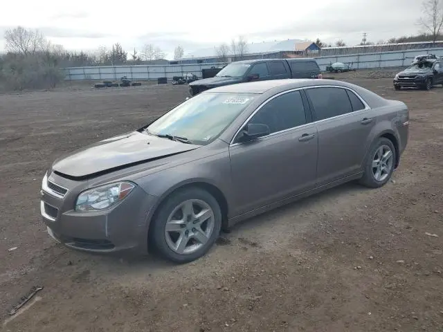 1G1ZB5E15BF256739