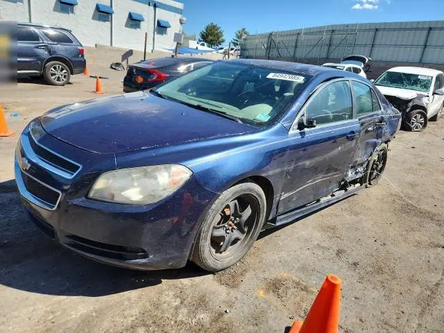 1G1ZB5E16BF220266