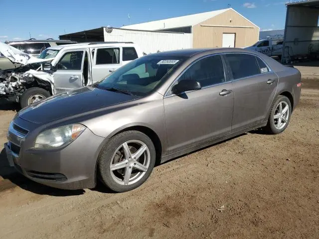 1G1ZB5E16BF298725