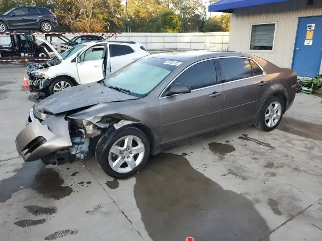 1G1ZB5E17BF211530