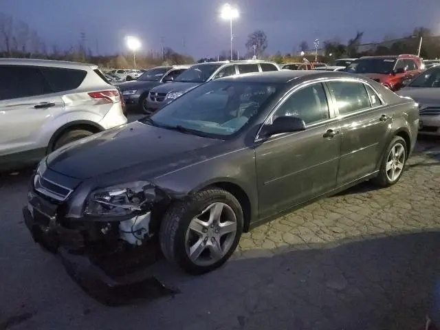 1G1ZB5E17BF267239