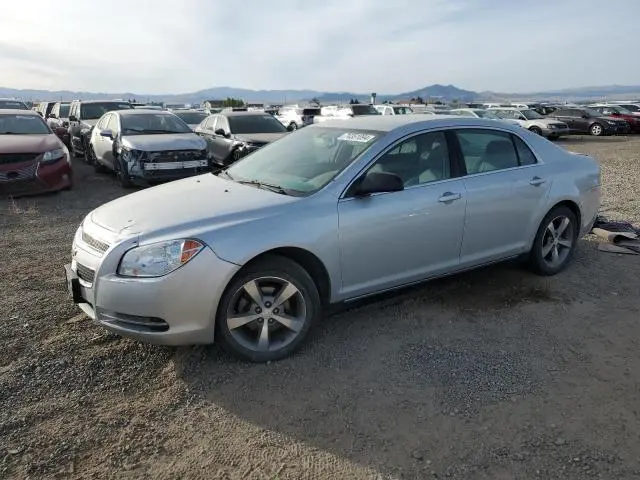 1G1ZB5E18BF265175