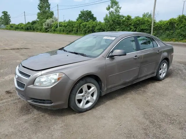 1G1ZB5EU6BF245937