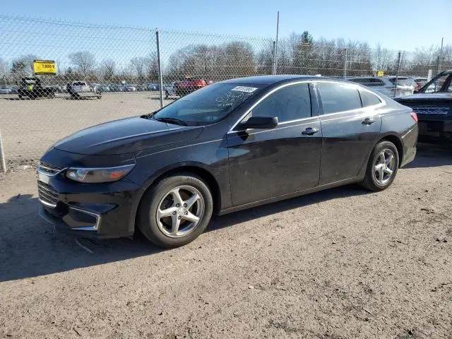1G1ZB5ST1GF316464