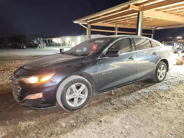 1G1ZB5ST1KF186095