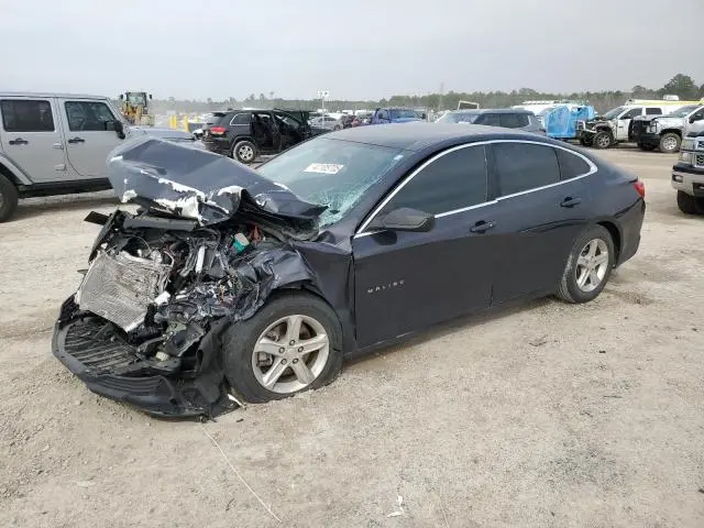 1G1ZB5ST1NF187560