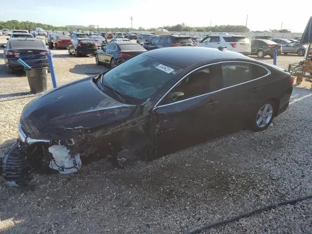 1G1ZB5ST1RF186687