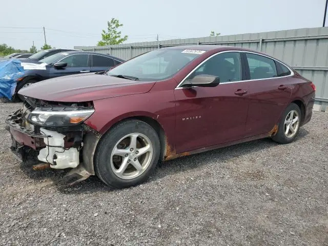 1G1ZB5ST3GF331709