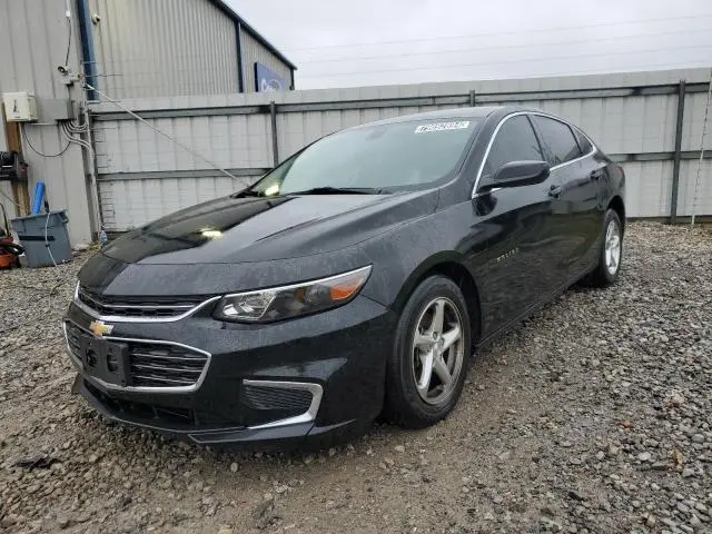 1G1ZB5ST3JF116564