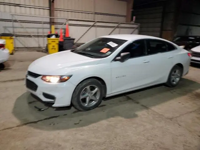 1G1ZB5ST4JF191046