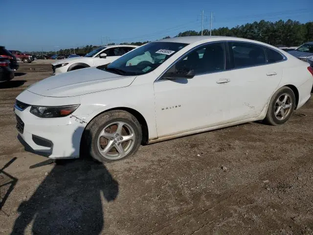 1G1ZB5ST5HF144599