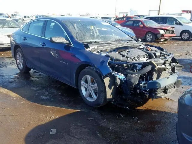 1G1ZB5ST5KF176184
