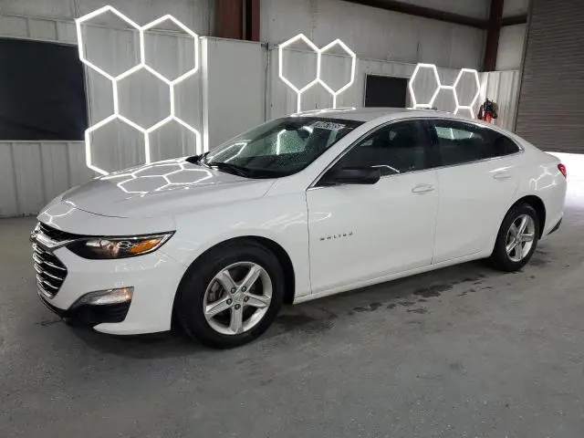1G1ZB5ST5KF217204