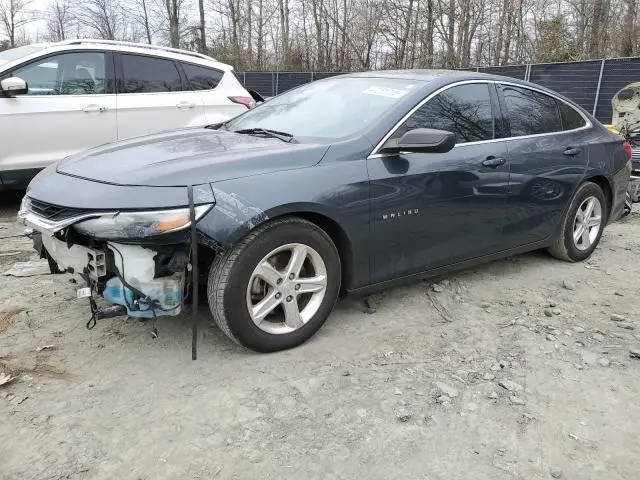 1G1ZB5ST5LF146541