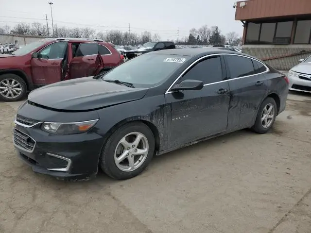 1G1ZB5ST6GF205442