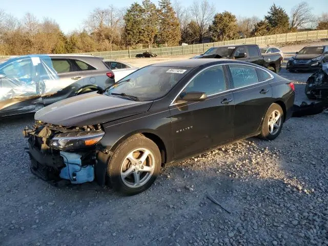1G1ZB5ST6GF311356