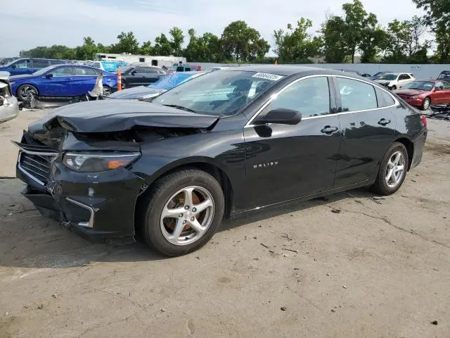 1G1ZB5ST6JF185720