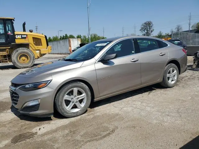 1G1ZB5ST6PF119158