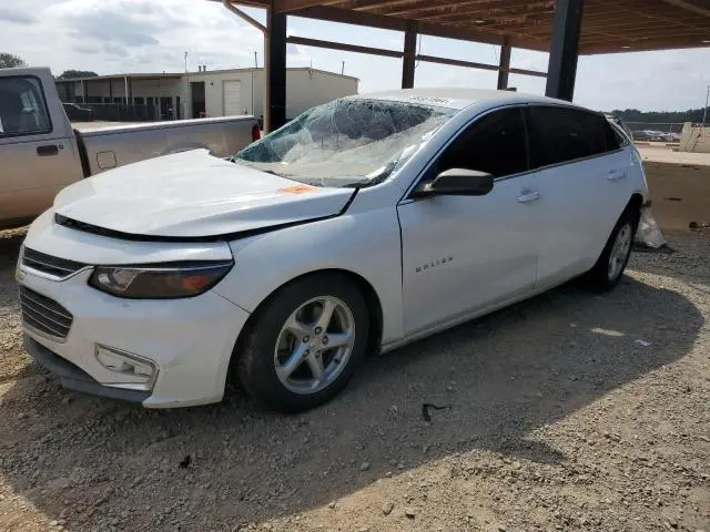 1G1ZB5ST7JF115613