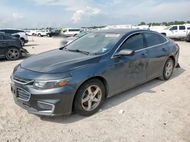 1G1ZB5ST7JF173981