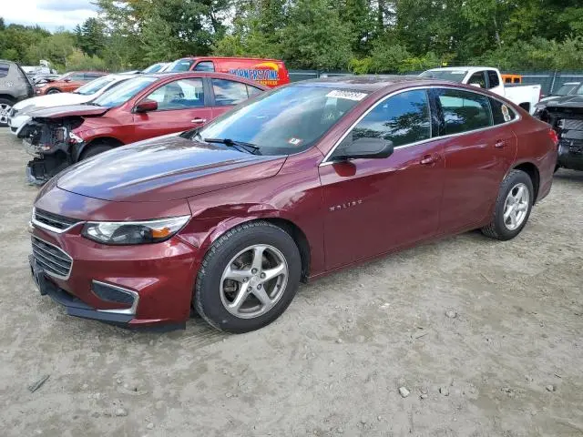 1G1ZB5ST8GF219536