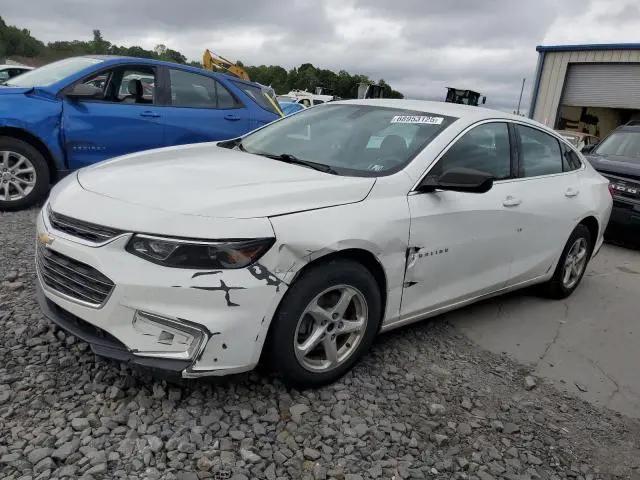 1G1ZB5ST8GF250902