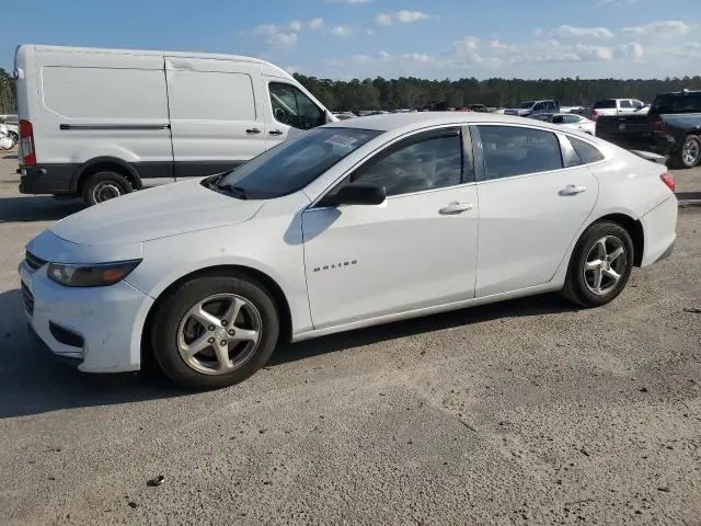 1G1ZB5ST8GF312993