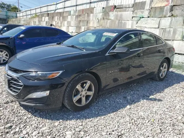 1G1ZB5ST8KF184991