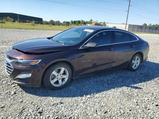 1G1ZB5ST8LF119110