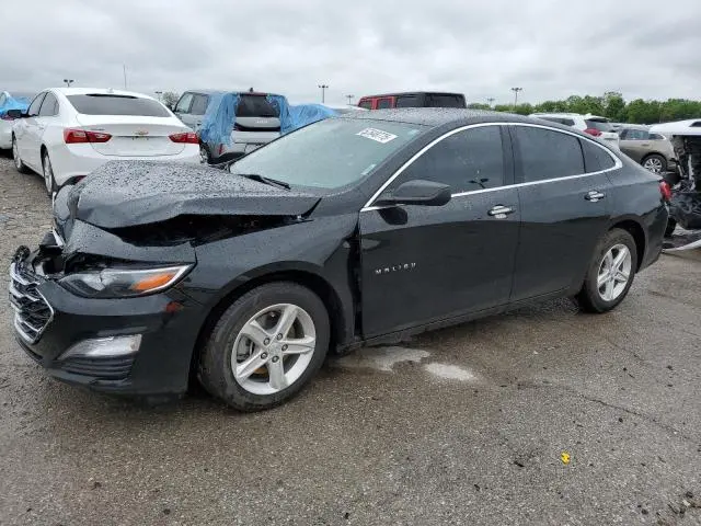 1G1ZB5ST8NF186650
