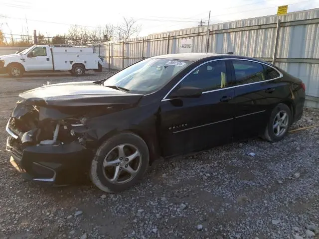 1G1ZB5STXHF113624