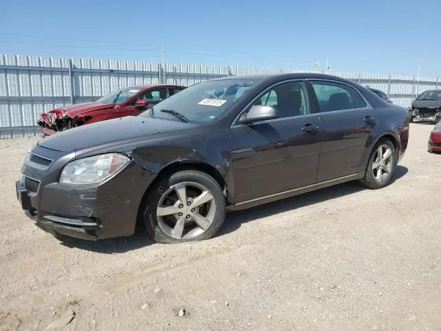 1G1ZC5E10BF299785