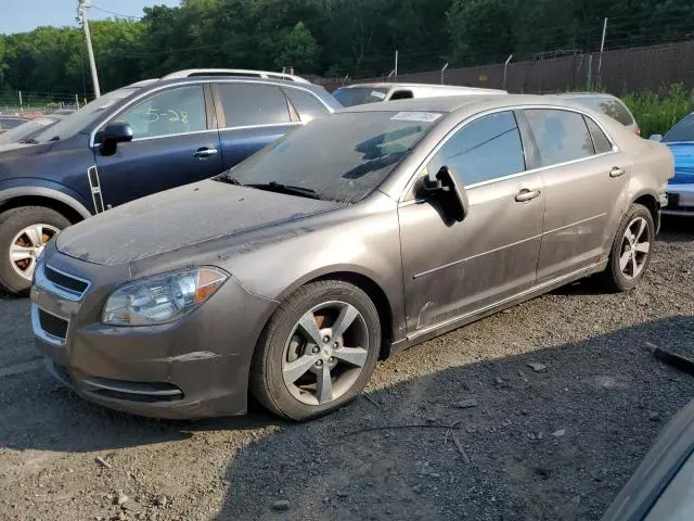 1G1ZC5E14BF225558