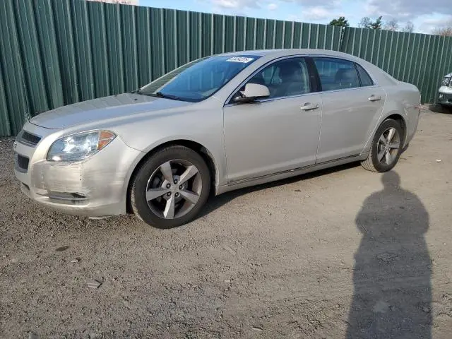 1G1ZC5E15BF130586