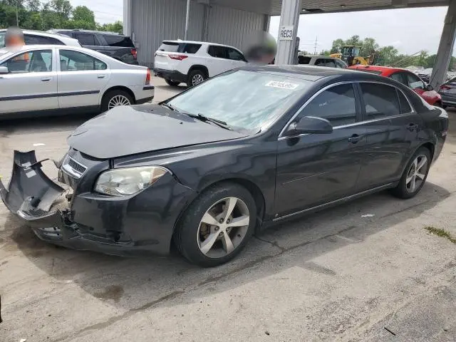 1G1ZC5EB0AF101584